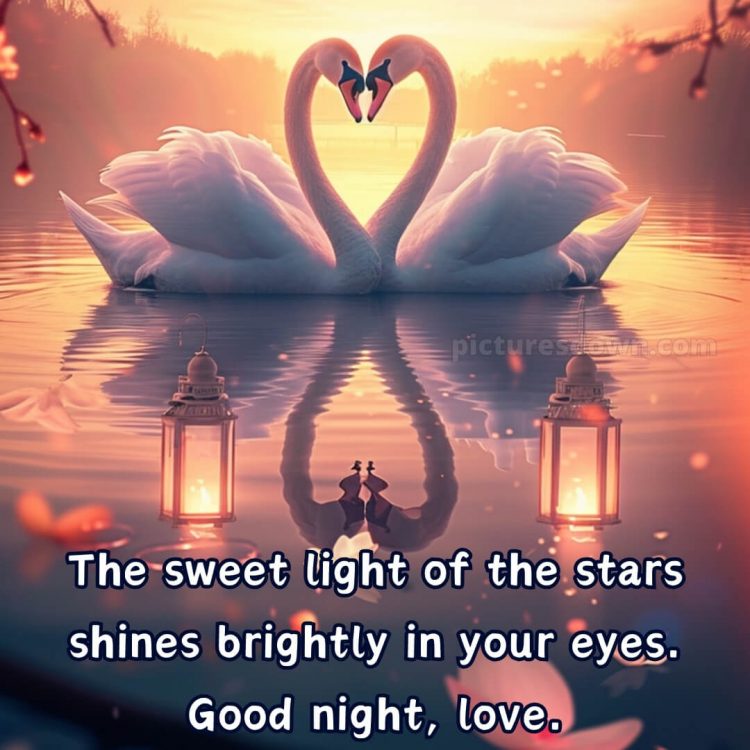Good night quotes love picture swans free download