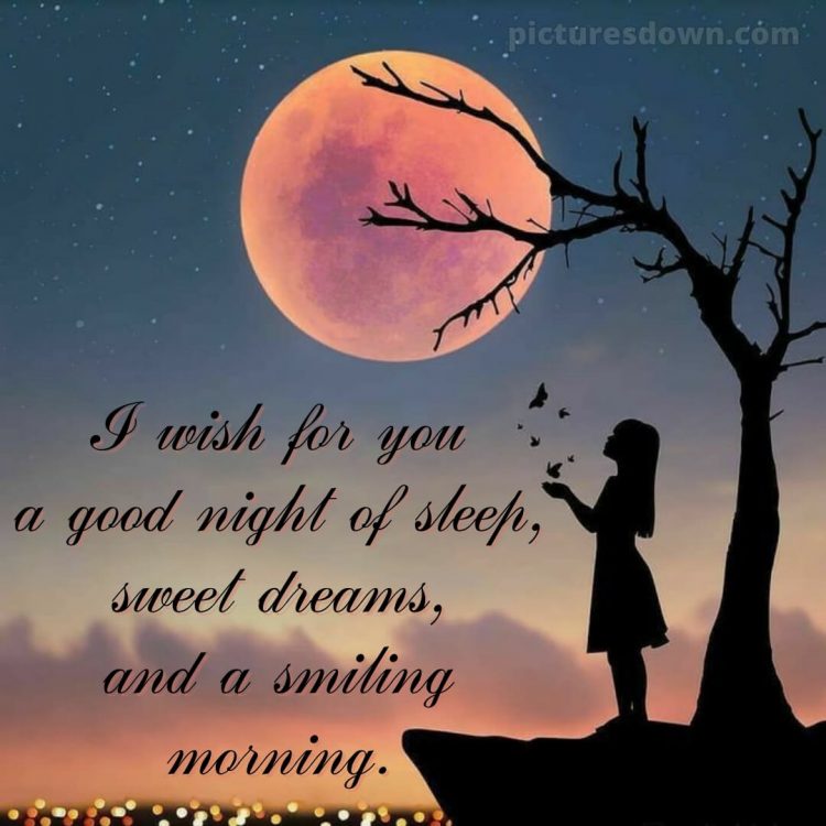 I love you good night picture big moon free download