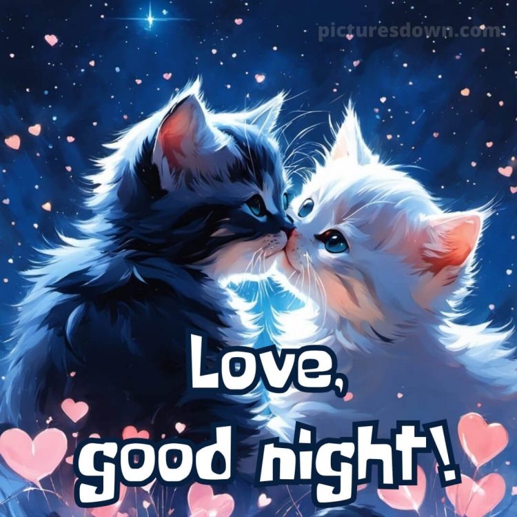 Love good night picture kittens free download