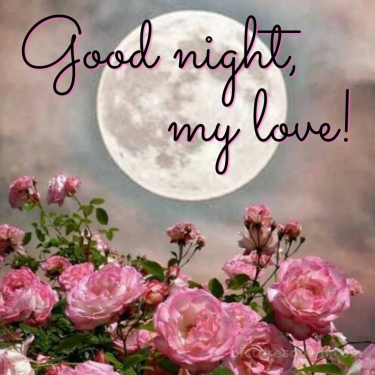 Love good night picture flowers free download