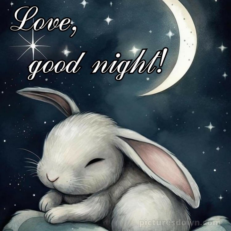 Love good night images picture rabbit free download