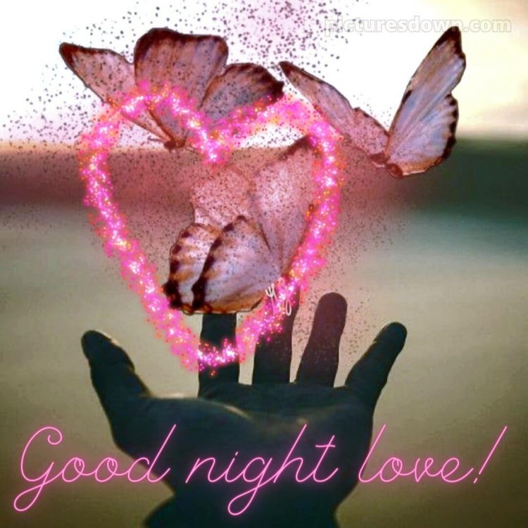Love good night images picture butterflies free download