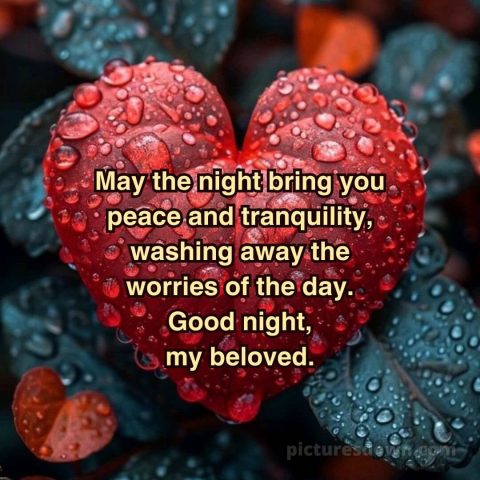 Love good night quotes picture leaf free download