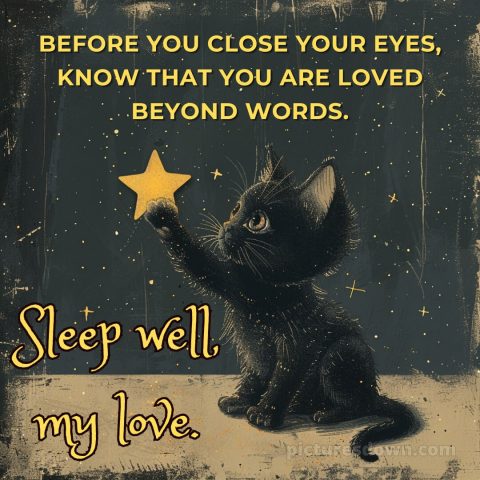 Love good night quotes picture black cat free download