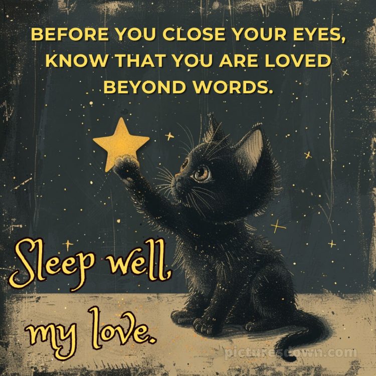 Love good night quotes picture black cat free download