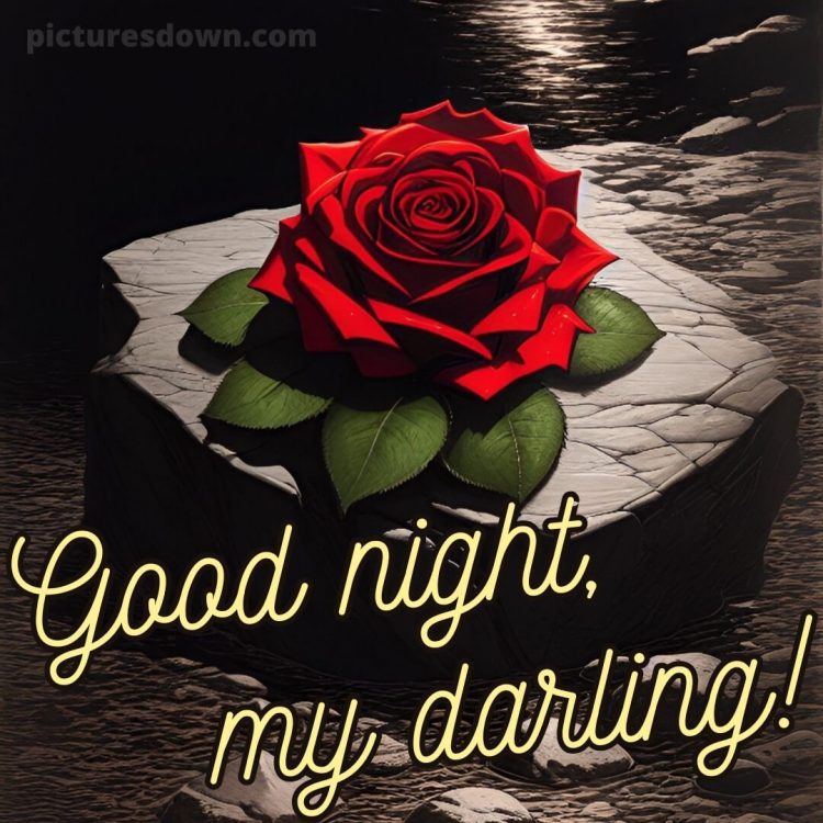True love love good night rose picture rose on a stone free download