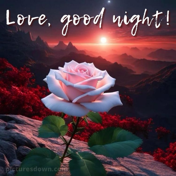 True love love good night rose picture mountains free download