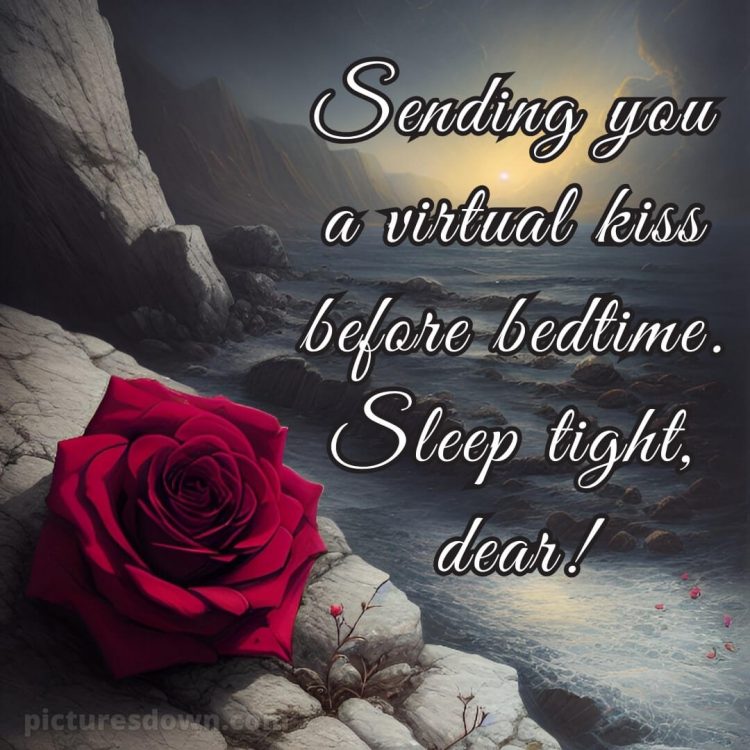True love love good night rose picture stones free download