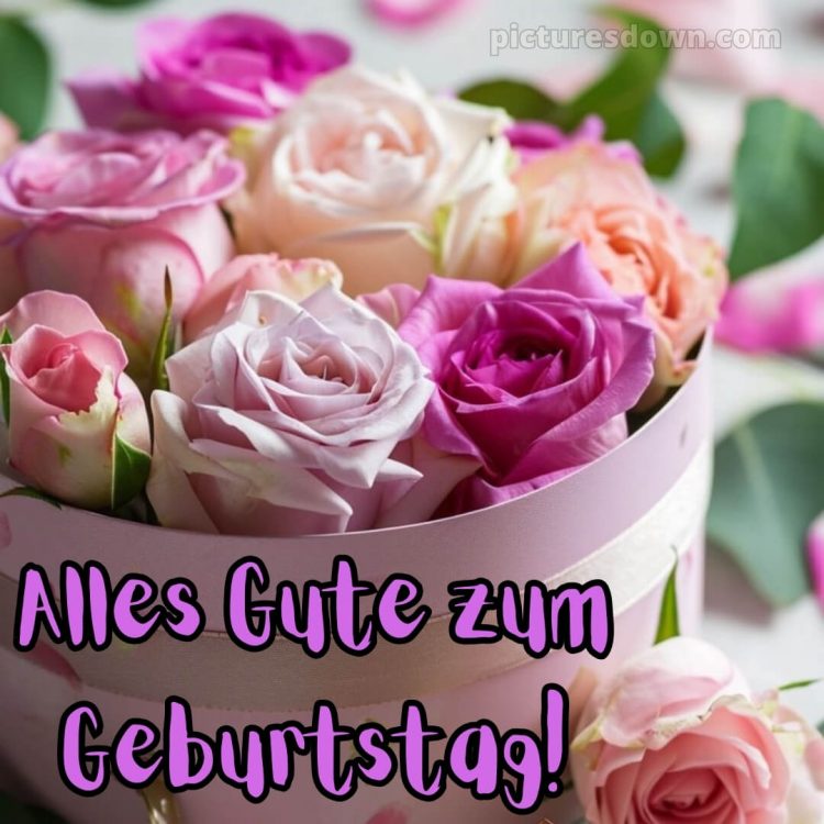 Alles gute zum geburtstag bilder bild rosa Rosen kostenlos