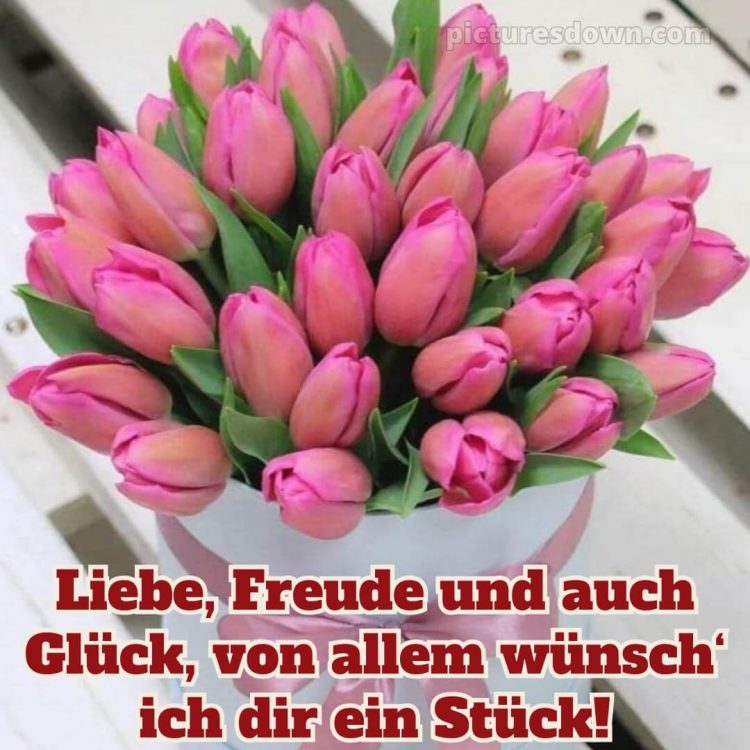 Alles gute zum geburtstag bilder kostenlos bild Tulpen kostenlos