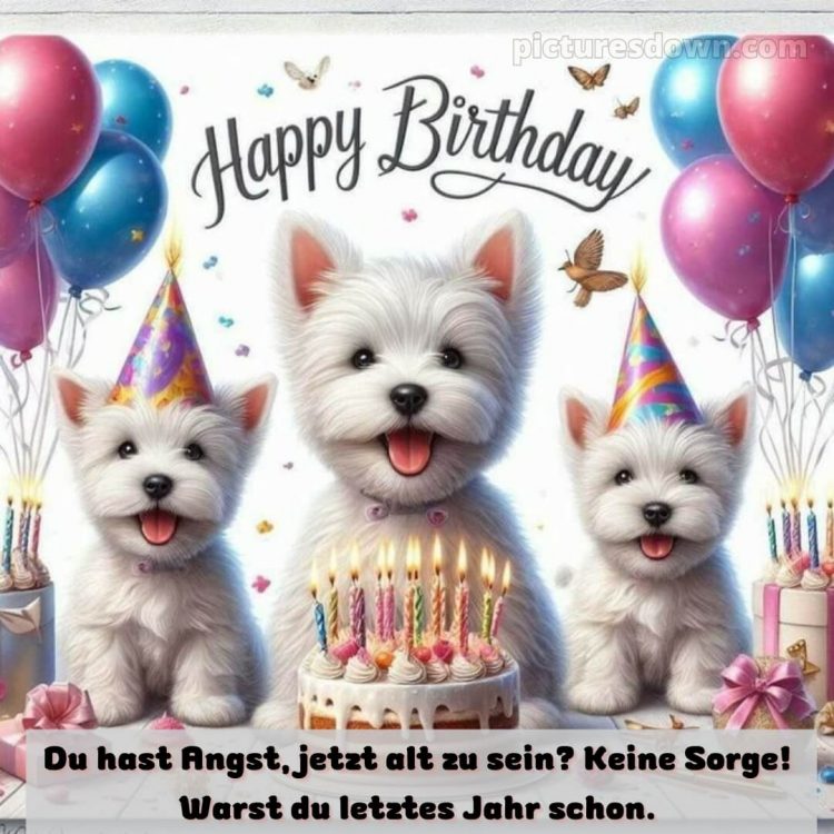 Alles gute zum geburtstag bilder lustig bild Welpen kostenlos
