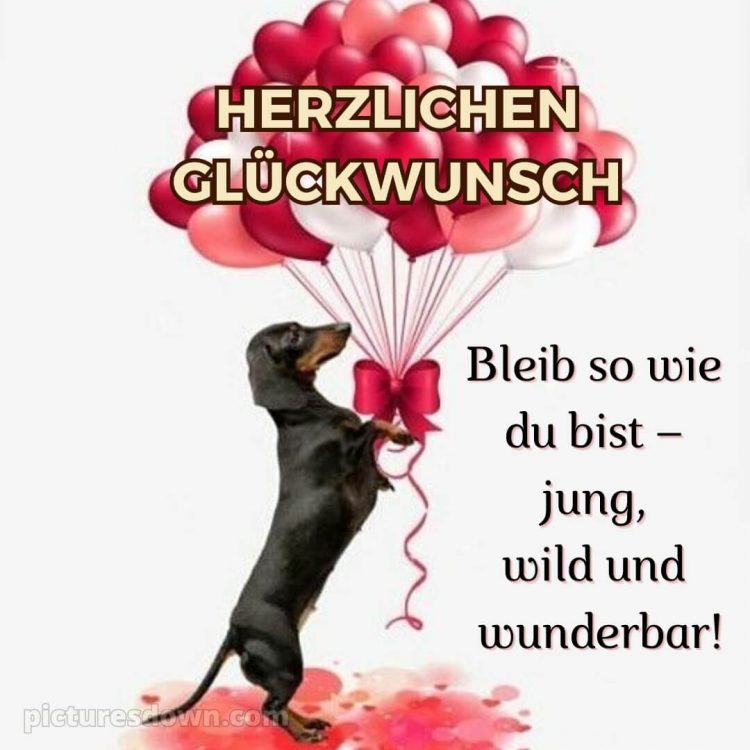 Alles gute zum geburtstag bilder lustig bild Hund kostenlos