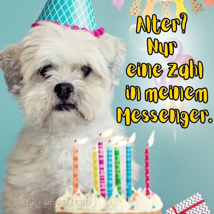 Alles gute zum geburtstag bilder lustig bild Kerzen kostenlos