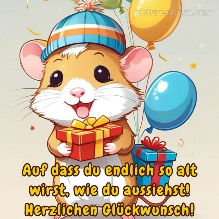 Alles gute zum geburtstag bilder lustig bild Hamster kostenlos
