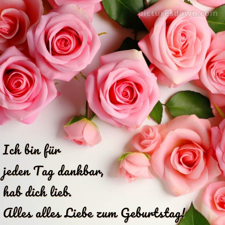 Alles gute zum geburtstag mein schatz bilder bild rosa Rosen kostenlos