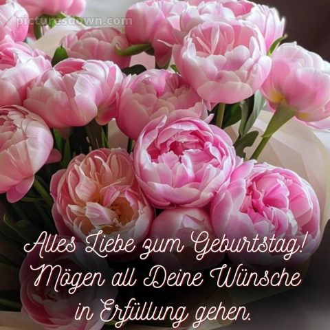 Bilder alles gute zum geburtstag bild Pfingstrosen kostenlos