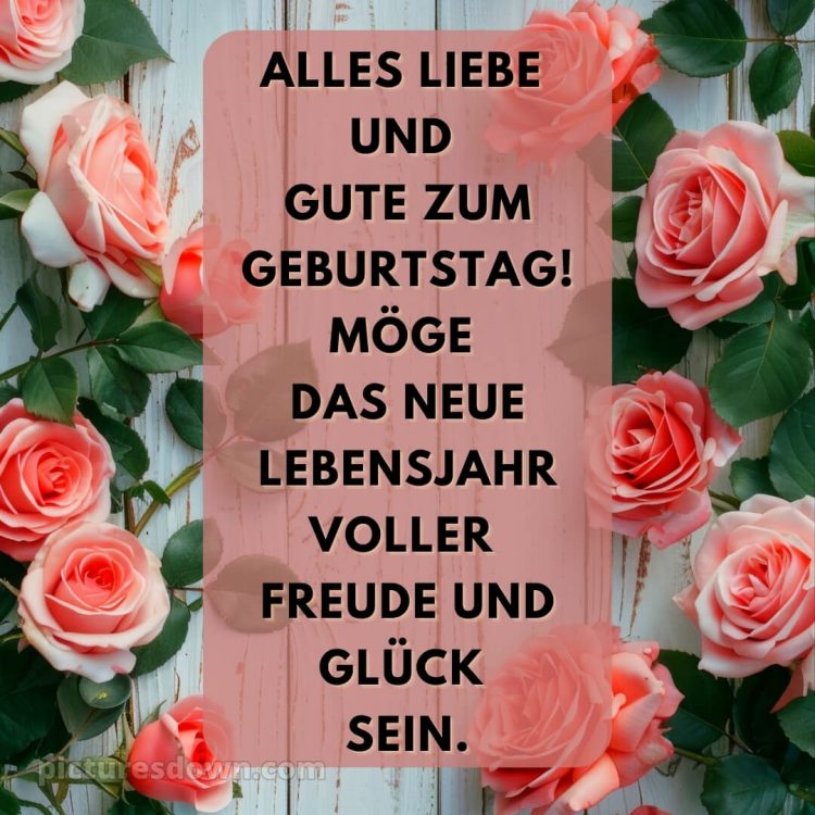 Bilder alles gute zum geburtstag bild viele Rosen kostenlos
