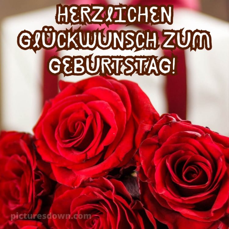 Bilder alles gute zum geburtstag bild rote Rosen kostenlos