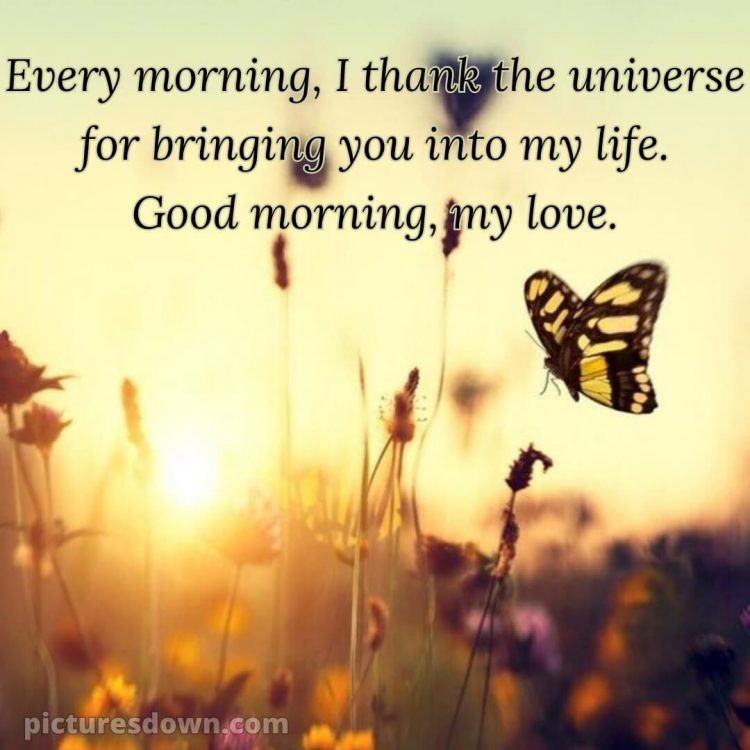 Good morning romantic quotes picture butterfly free download
