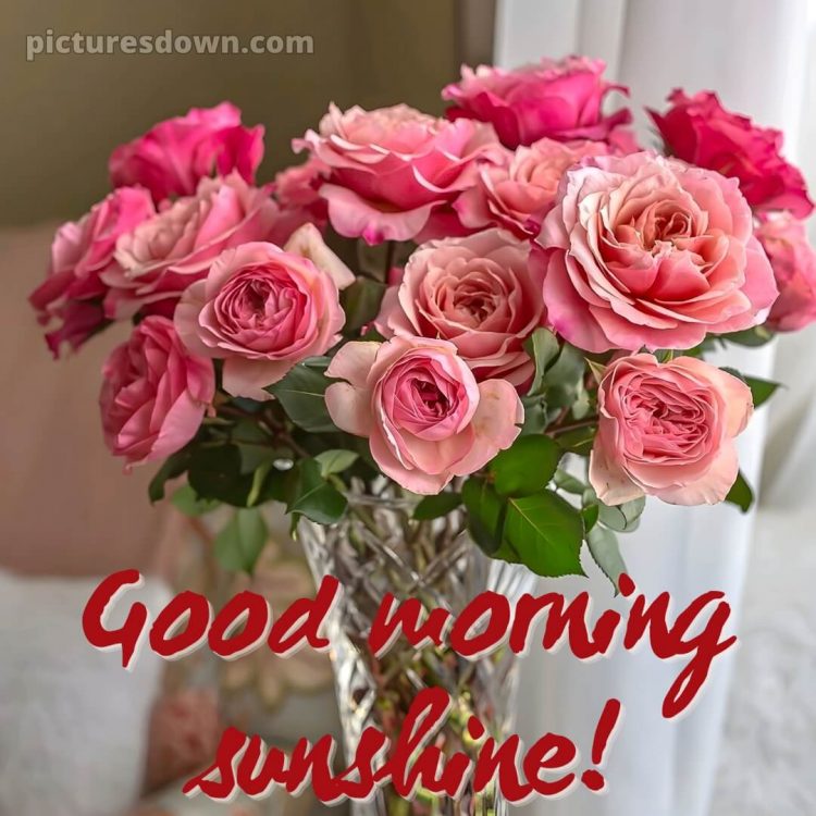 Good morning romantic rose picture vase free download