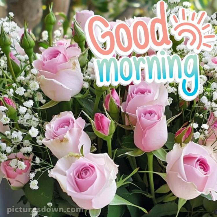 Good morning romantic rose picture pink roses free download