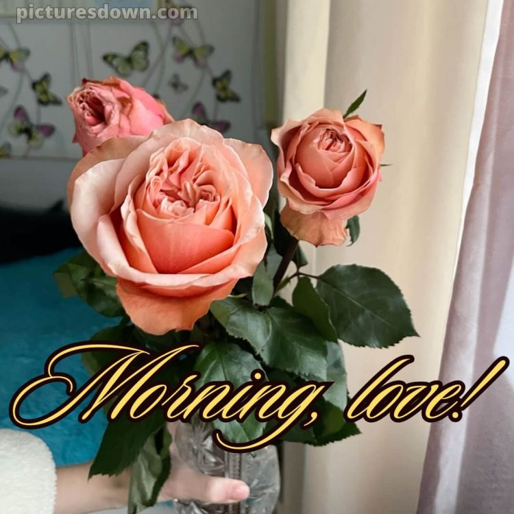 Good morning romantic roses picture roses in hand free download