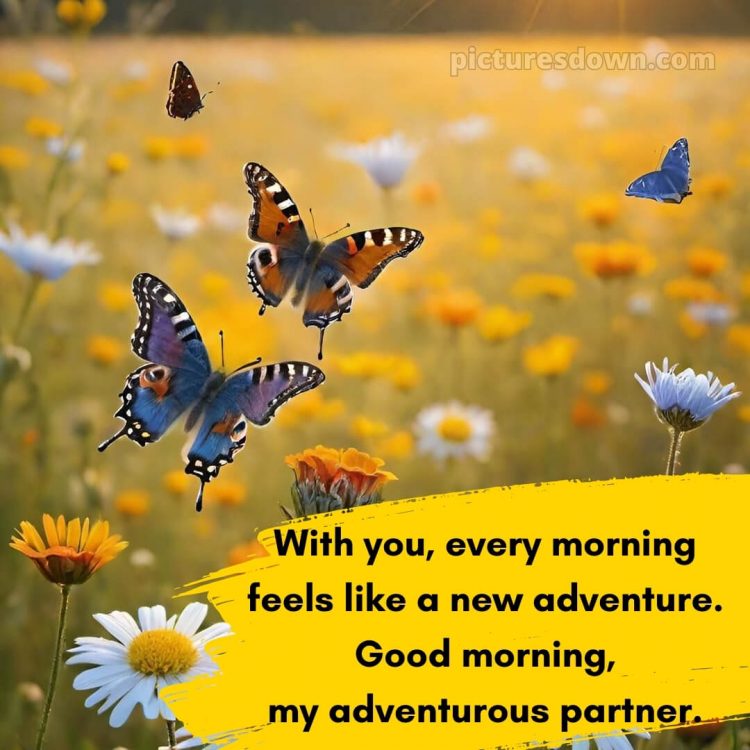 Love husband romantic good morning picture butterflies free download