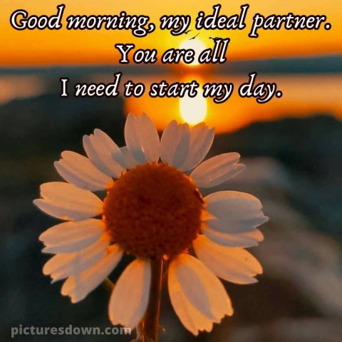 Love husband romantic good morning picture flower free download