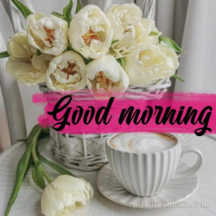 Love romantic good morning flowers picture white flowers free download