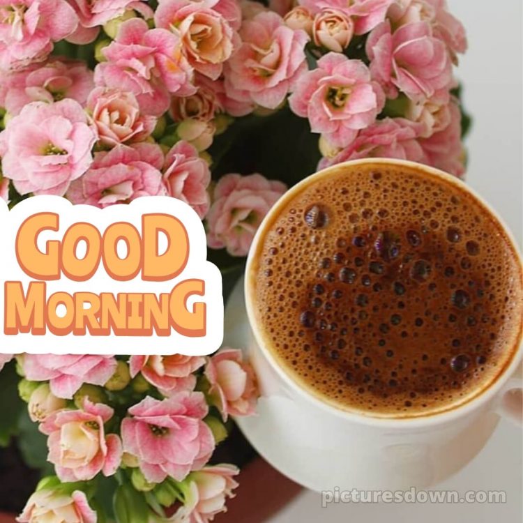 Love romantic good morning flowers picture coffee free download