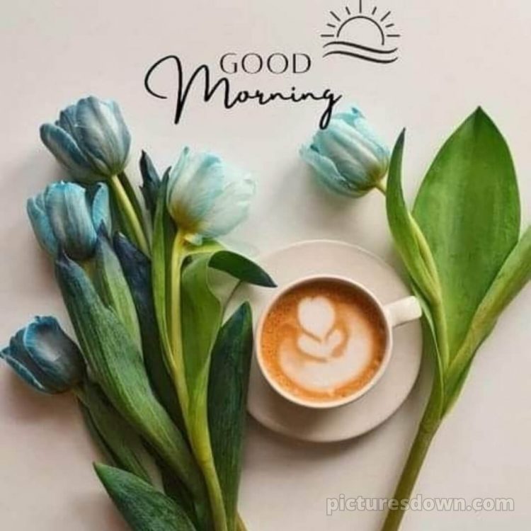 Love romantic good morning flowers picture blue tulips free download