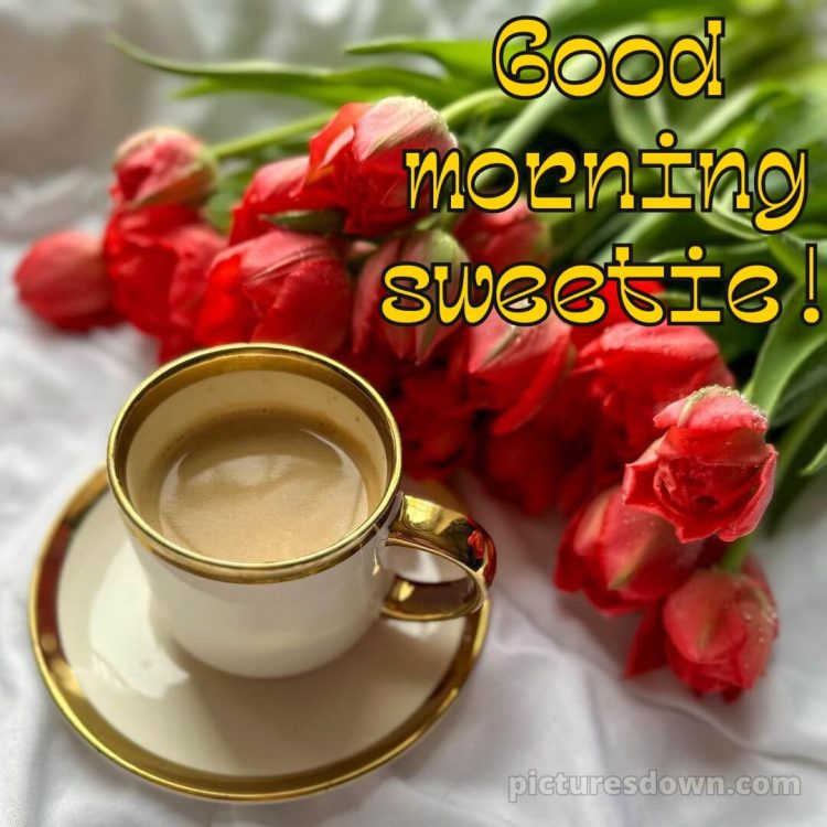 Love romantic good morning flowers picture red tulips free download