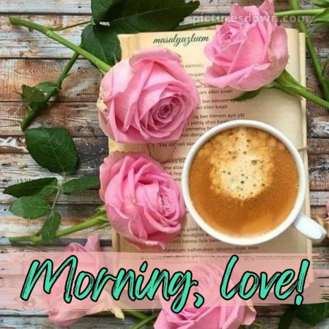 Love romantic good morning rose picture book free download