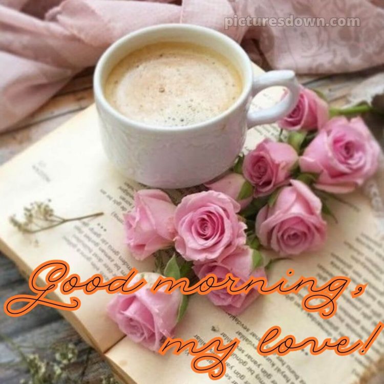 Love romantic good morning rose picture roses on the book free download