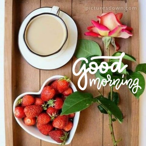 Love romantic good morning rose picture strawberries free download