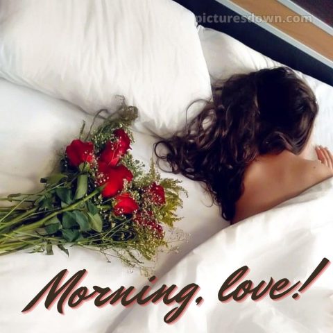 Love romantic good morning rose picture bed free download