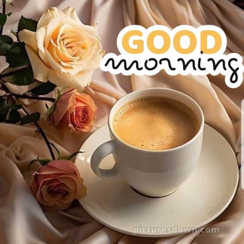 Love romantic good morning rose picture cup free download
