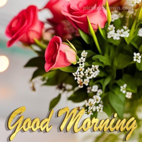 Love romantic good morning rose picture bouquet free download