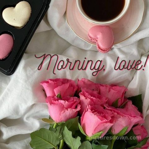 Love romantic good morning rose picture pink roses free download