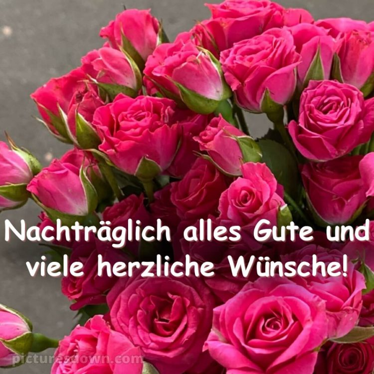 Nachträglich alles gute zum geburtstag bilder bild Strauß kostenlos