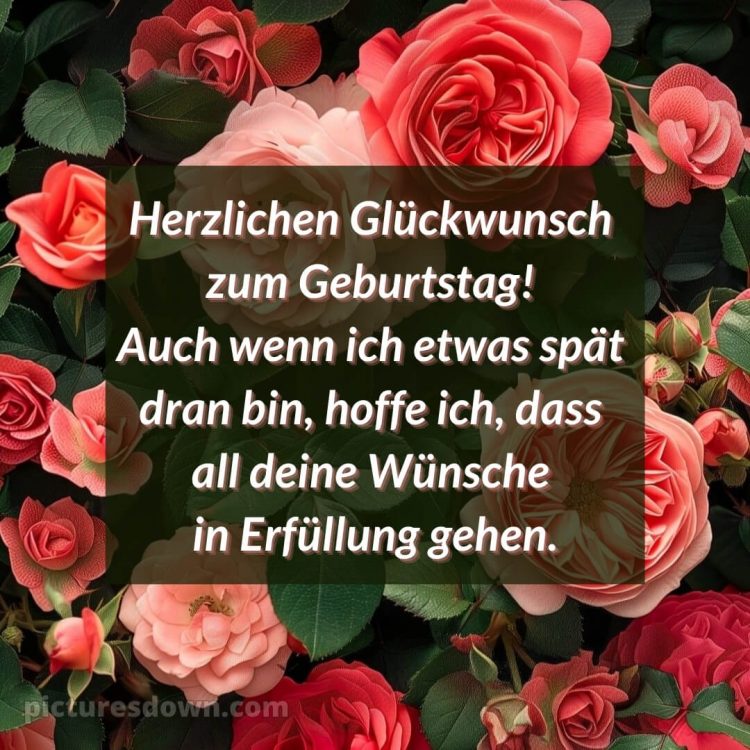 Nachträglich alles gute zum geburtstag bilder bild Rosenstrauch kostenlos