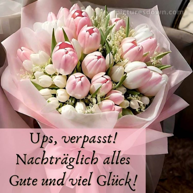 Nachträglich alles gute zum geburtstag bilder kostenlos bild Blumenstrauß kostenlos