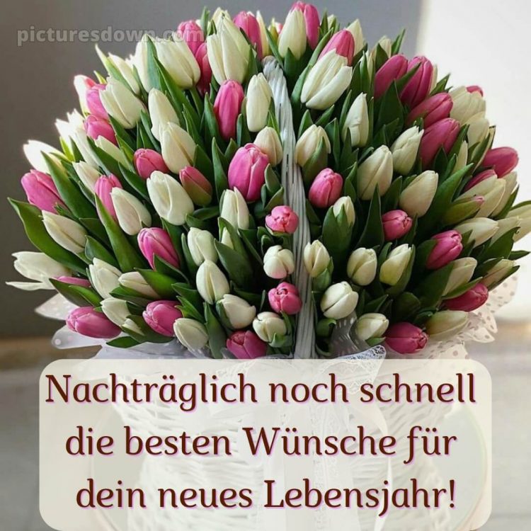 Nachträglich alles gute zum geburtstag bilder kostenlos bild Tulpen kostenlos