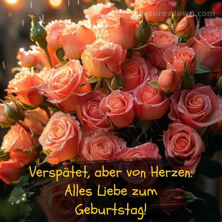 Nachträglich alles gute zum geburtstag bilder kostenlos bild orangefarbene Rosen kostenlos