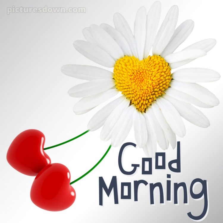 Romantic good morning dear picture daisy free download