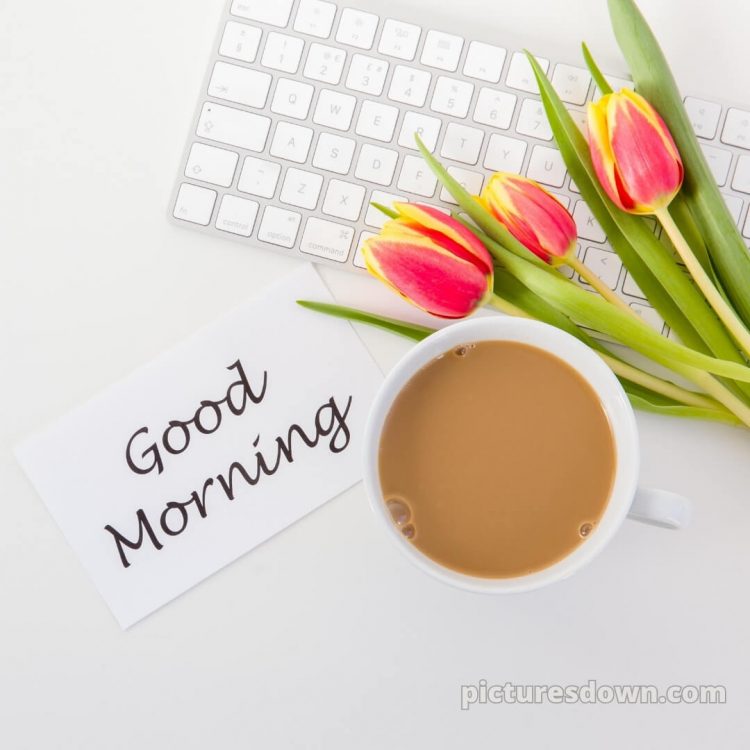 Romantic good morning images for girlfriend picture tulips free download
