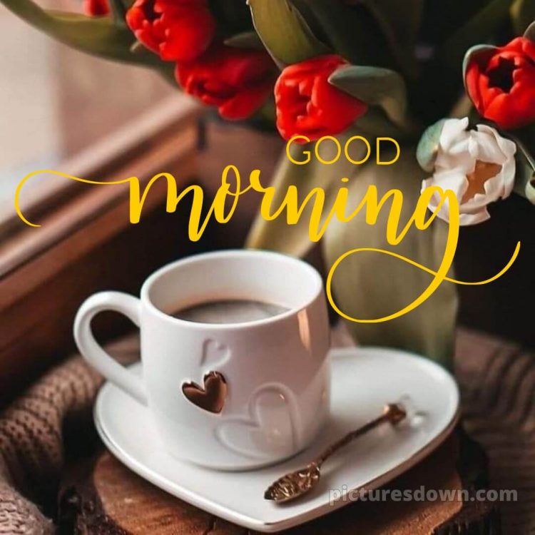 Romantic good morning love images picture tulips free download