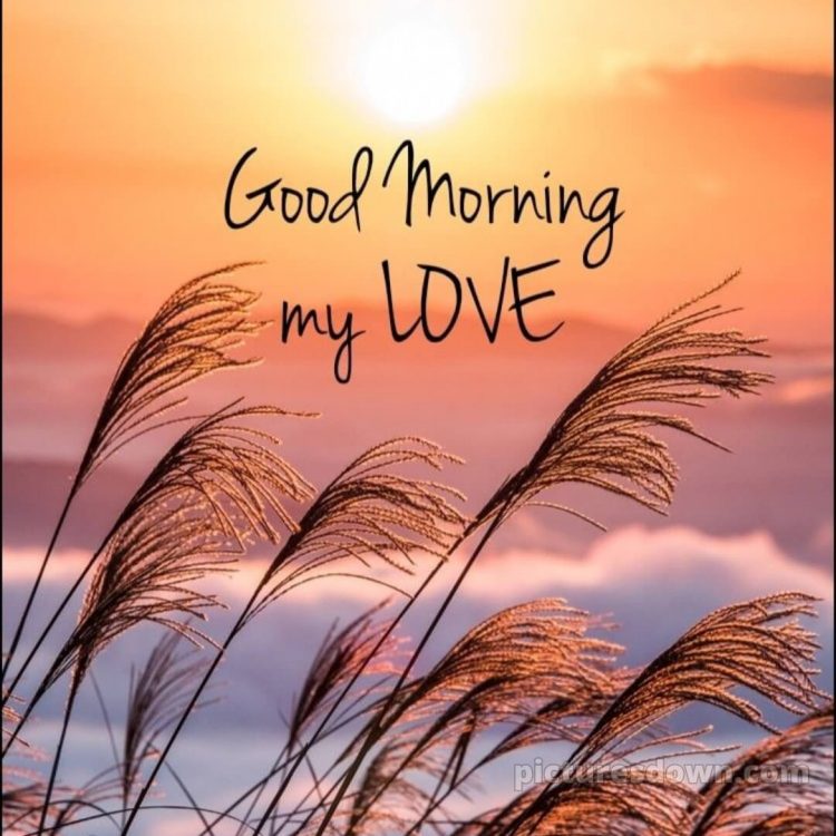 Romantic good morning love images picture sun free download