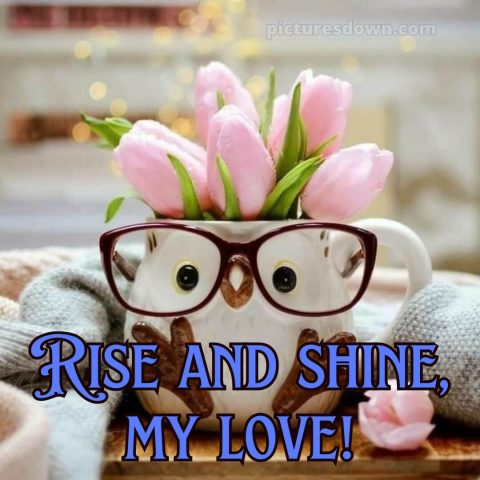 Romantic good morning message picture glasses free download
