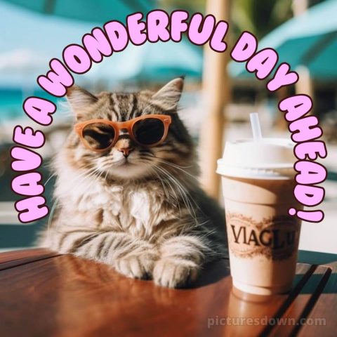 Romantic good morning message picture cat in glasses free download